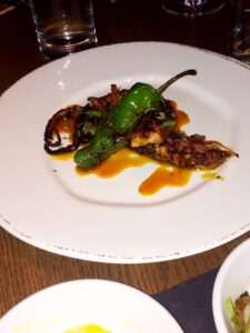 Octopus at GATO