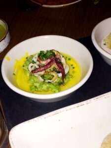 Squid at GATO