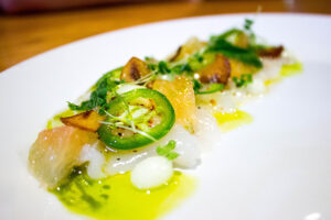 Scallop Crudo at Mussel Bar and Grille